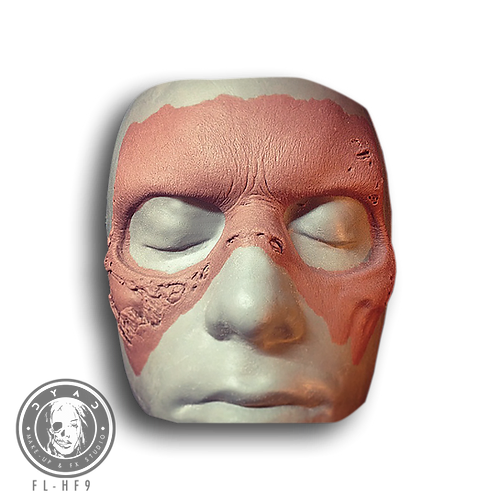 DYAD Foam Prosthetic - Zombie Half Face 1 (FL-HF9)