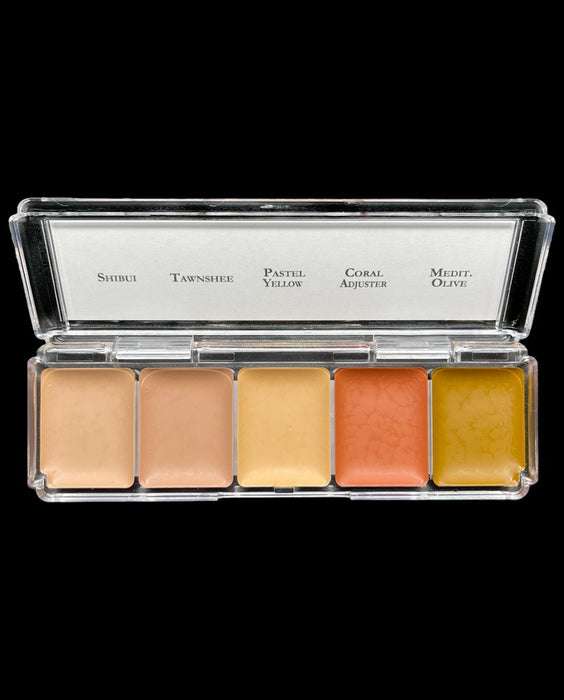 Skin Illustrator Ahsen’s Tattoo Cover Palettes