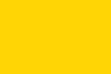 #147 Yellow Color Swatch