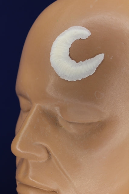 Small Crescent Scar Insert
