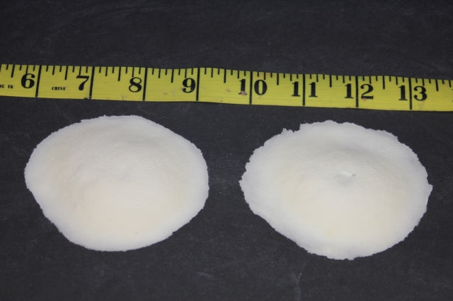 Nude Nipple Covers Insert