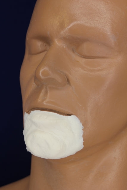 Character Chin 2 Insert