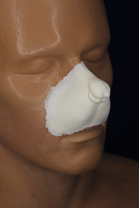 Mouse Nose Insert