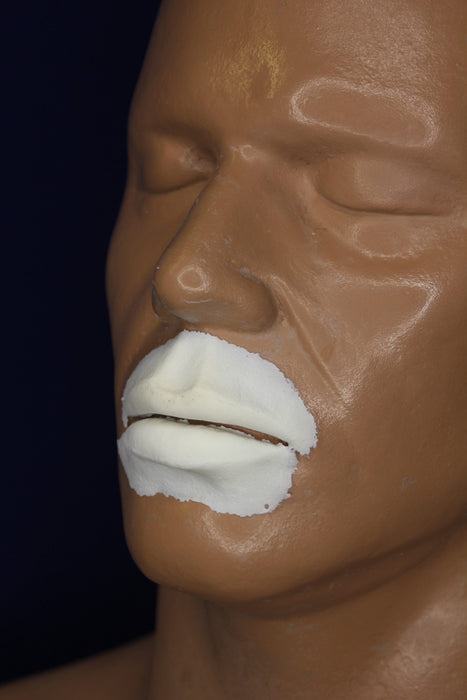 Collagen Lips Insert