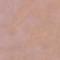 Skin Illustrator Concentrate 4oz