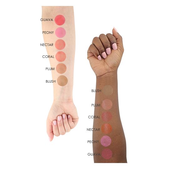 TEMPTU SB 1/4oz Blush Starter Set 6pk