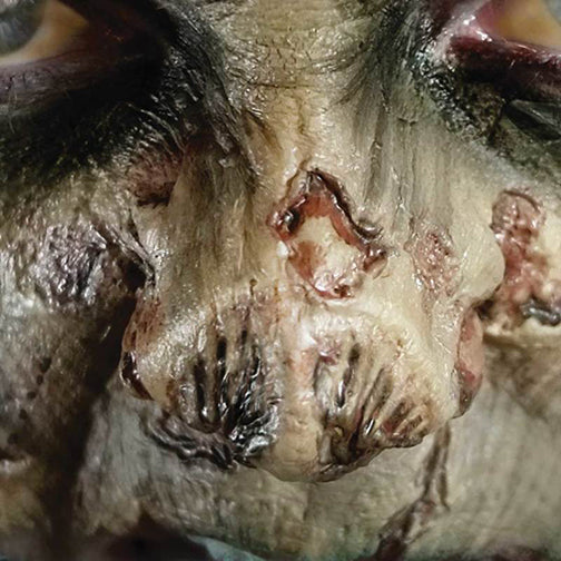 3D FX Transfer - Zombie Nose