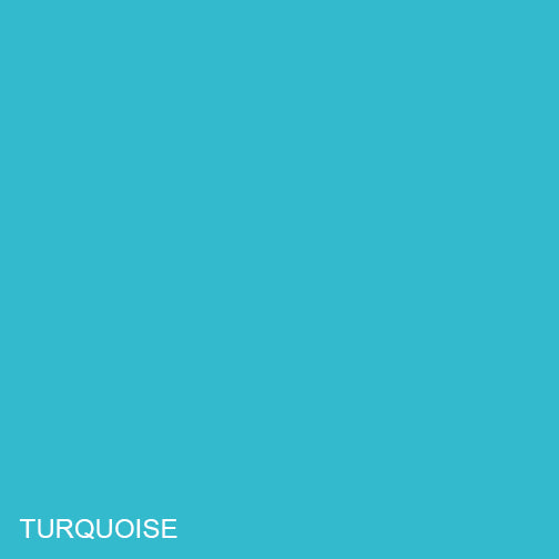 Turquoise Flocking Color Swatch