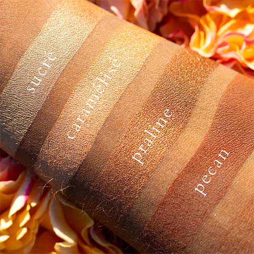 Viseart Petits Fours - Praline Eye Shadow Palette Applied