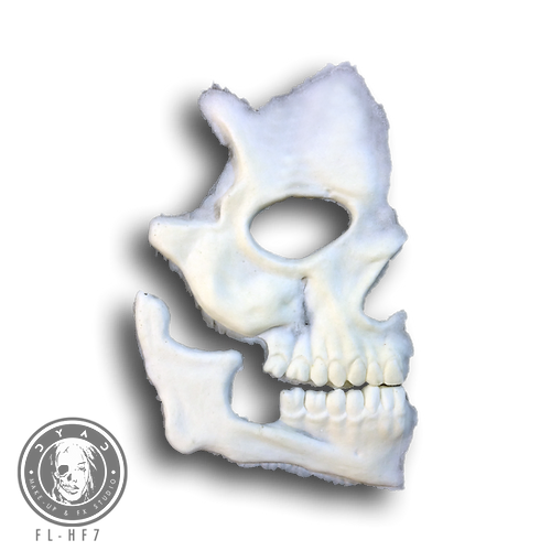 DYAD Foam Prosthetic - Half Skull (FL-HF7)