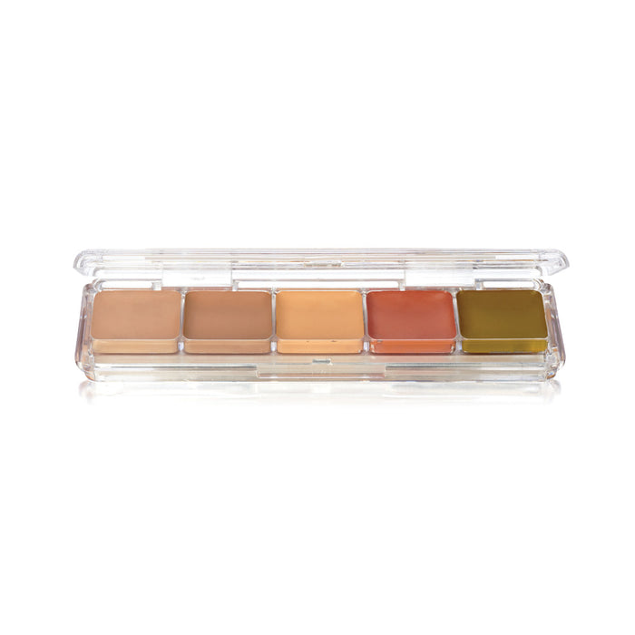 Ben Nye Alcohol Concealer/Adjuster 0.2oz./6gm. 5 Colors (AAP-23)