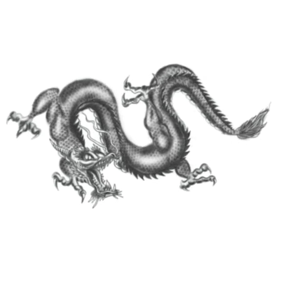 HookUp Tattoos Dragon