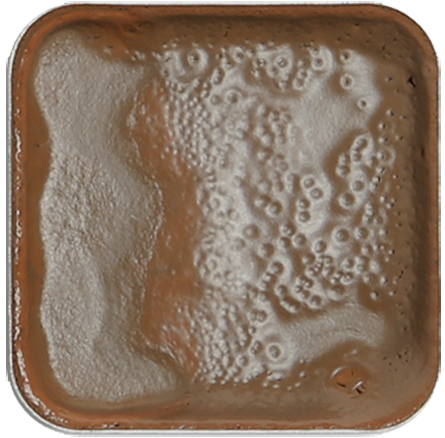 EBA LiquidHAIR