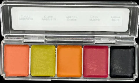 The Skin Illustrator Mini 5 Tone Palettes