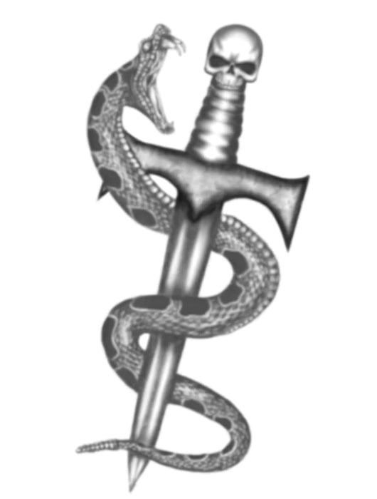 HookUp Tattoos Snake & Dagger