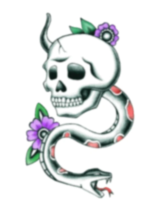HookUp Tattoos Snake & Skull