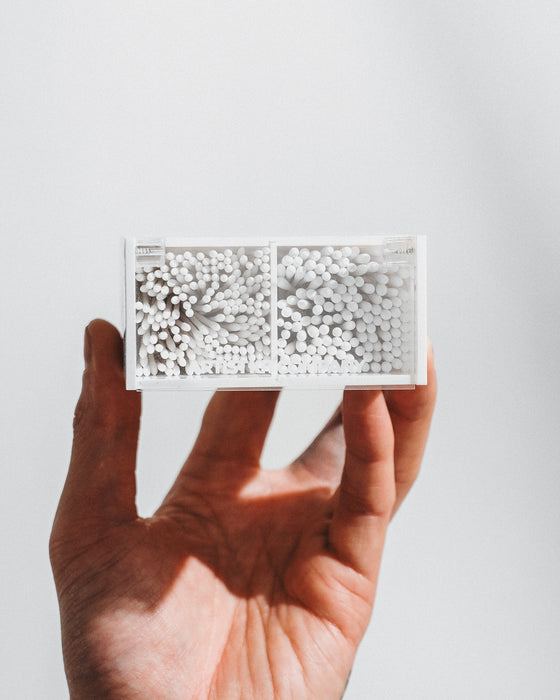AKC - BOX
