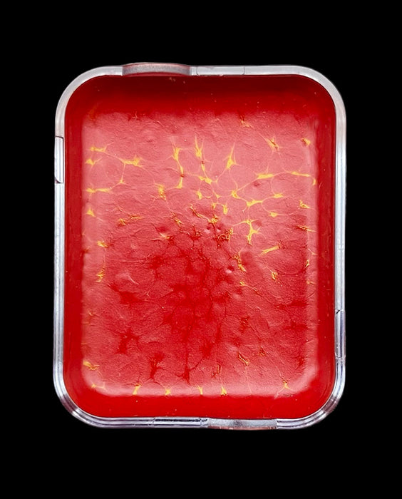 Skin Illustrator Flesh Tone Replaceable Cell Palette