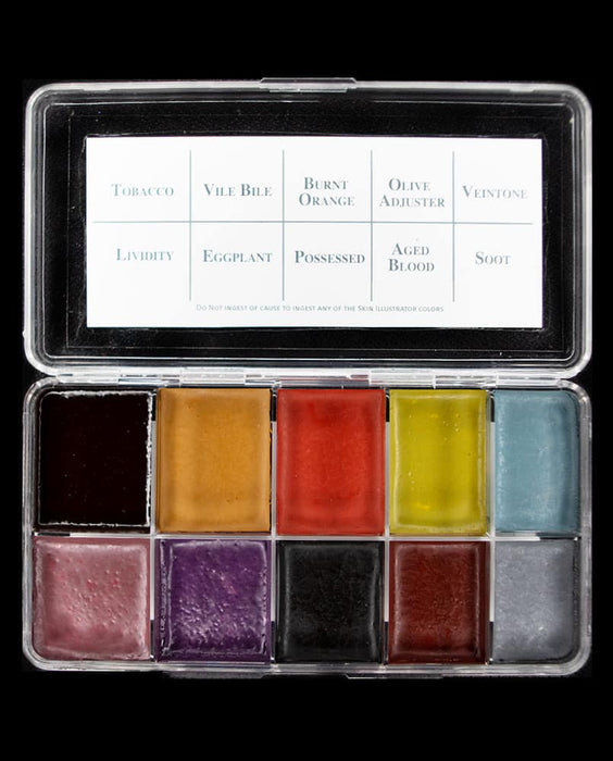 Jan Sewell's Raider Palette - Skin Illustrator