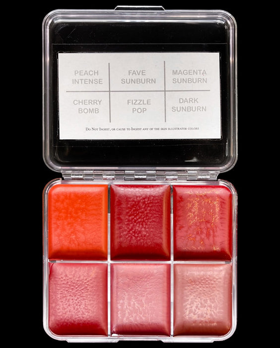 Skin Illustrator Sunburn Palette