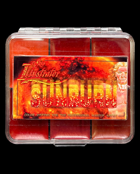 Skin Illustrator Sunburn Palette