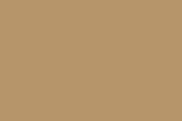 #113 Topaz Color Swatch