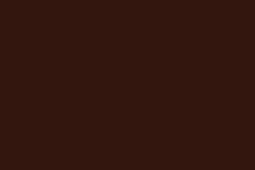#117 Chocolate Brown Color Swatch