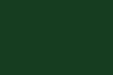 #151 Dark Green Color Swatch