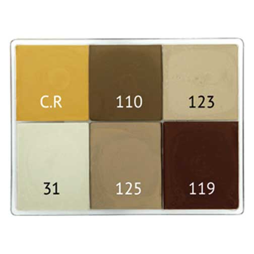 Maqpro 6 Color Creme Palette E20