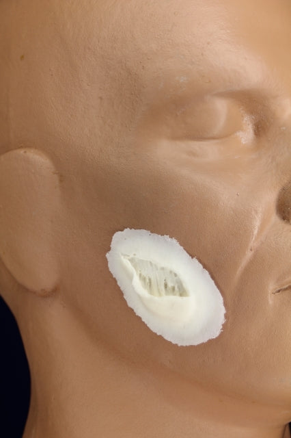 Small Skin Gouge Insert — Coast Fiber Tek