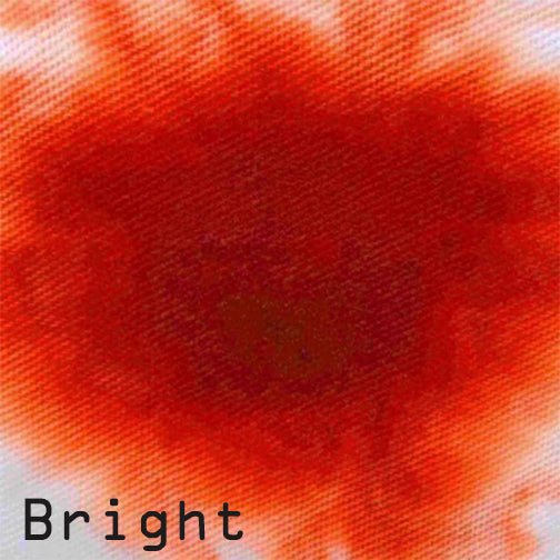 Dark Arts Bright Swatch
