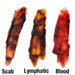 Bloodworks Drying Pastes Colors