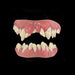 Tinsley Monster Teeth
