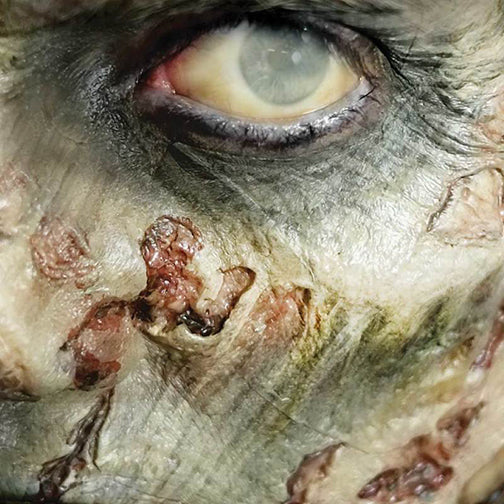 3D FX Transfer - Zombie Cheekbones